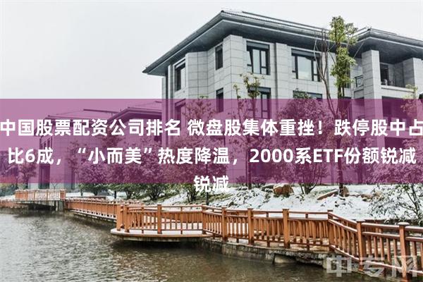 中国股票配资公司排名 微盘股集体重挫！跌停股中占比6成，“小而美”热度降温，2000系ETF份额锐减