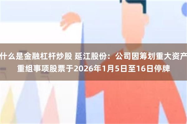 什么是金融杠杆炒股 延江股份：公司因筹划重大资产重组事项股票于2026年1月5日至16日停牌