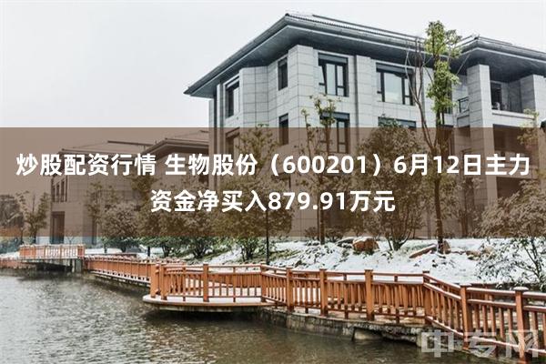 炒股配资行情 生物股份（600201）6月12日主力资金净买入879.91万元