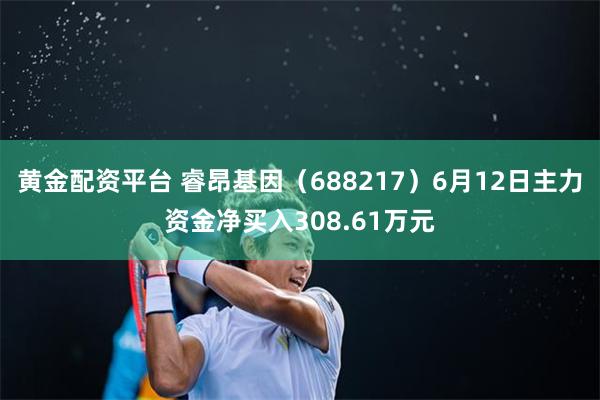 黄金配资平台 睿昂基因（688217）6月12日主力资金净买入308.61万元