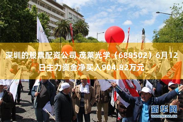 深圳的股票配资公司 茂莱光学（688502）6月12日主力资金净买入904.82万元