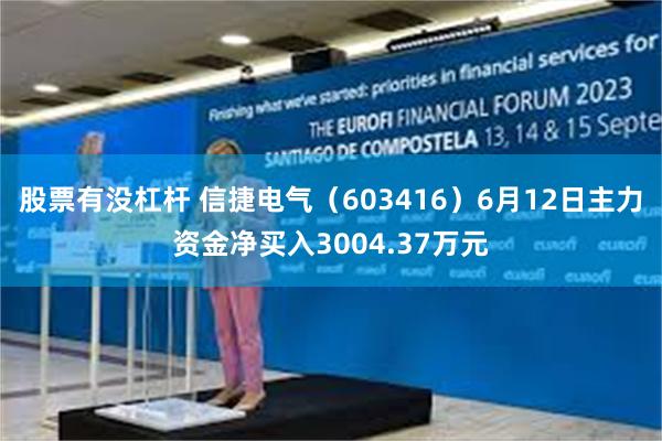 股票有没杠杆 信捷电气（603416）6月12日主力资金净买入3004.37万元