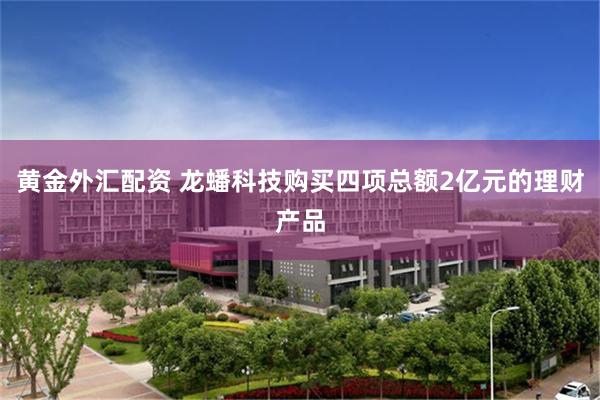 黄金外汇配资 龙蟠科技购买四项总额2亿元的理财产品
