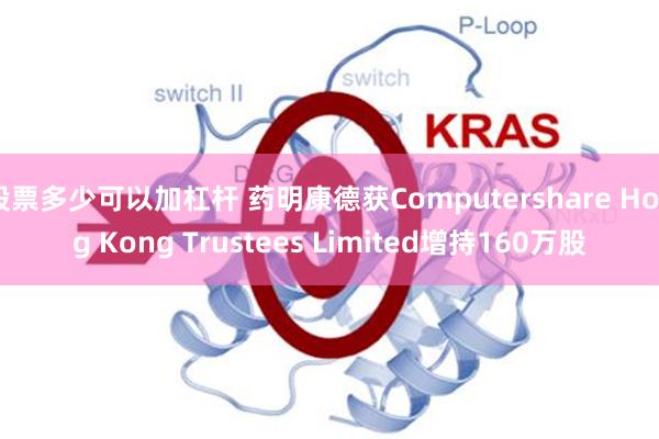 股票多少可以加杠杆 药明康德获Computershare Hong Kong Trustees Limited增持160万股