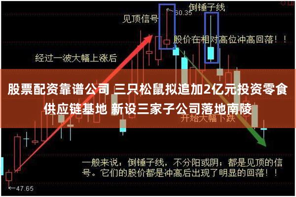 股票配资靠谱公司 三只松鼠拟追加2亿元投资零食供应链基地 新设三家子公司落地南陵