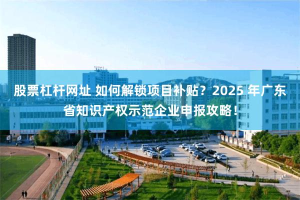 股票杠杆网址 如何解锁项目补贴？2025 年广东省知识产权示范企业申报攻略！