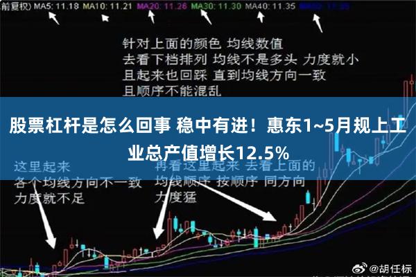 股票杠杆是怎么回事 稳中有进！惠东1~5月规上工业总产值增长12.5%