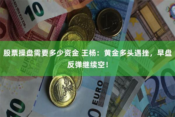 股票操盘需要多少资金 王杨：黄金多头遇挫，早盘反弹继续空！