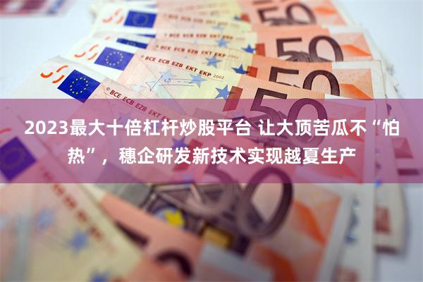 2023最大十倍杠杆炒股平台 让大顶苦瓜不“怕热”，穗企研发新技术实现越夏生产