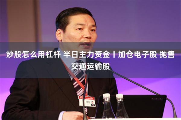 炒股怎么用杠杆 半日主力资金丨加仓电子股 抛售交通运输股