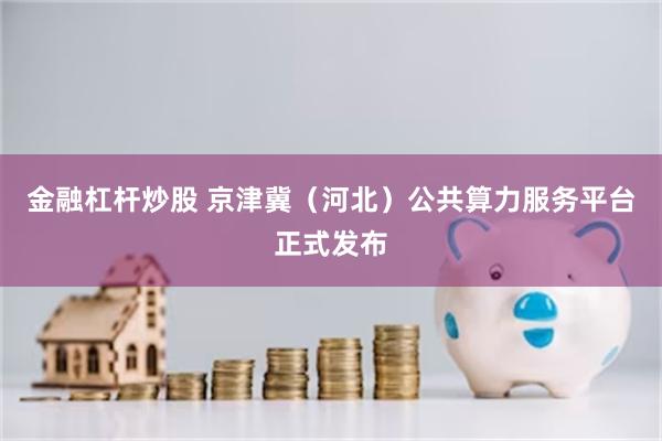 金融杠杆炒股 京津冀（河北）公共算力服务平台正式发布