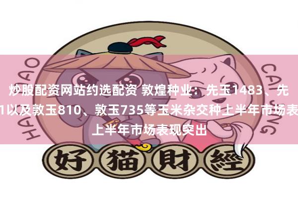 炒股配资网站约选配资 敦煌种业：先玉1483、先玉1611以及敦玉810、敦玉735等玉米杂交种上半年市场表现突出