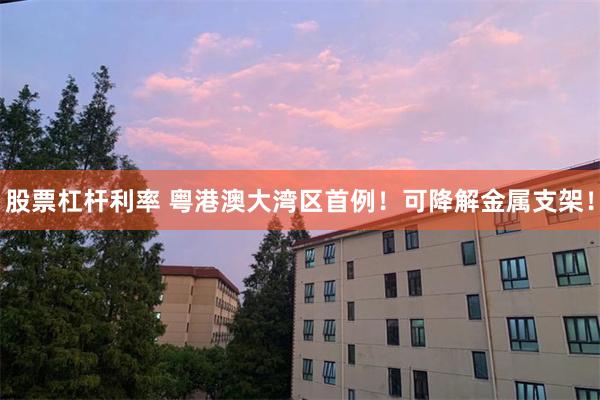 股票杠杆利率 粤港澳大湾区首例！可降解金属支架！