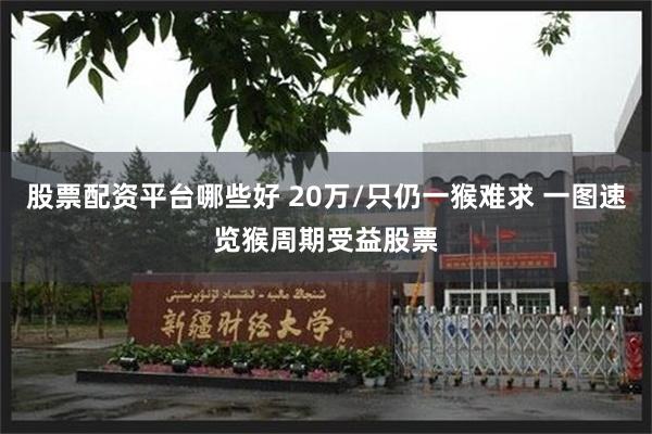 股票配资平台哪些好 20万/只仍一猴难求 一图速览猴周期受益股票