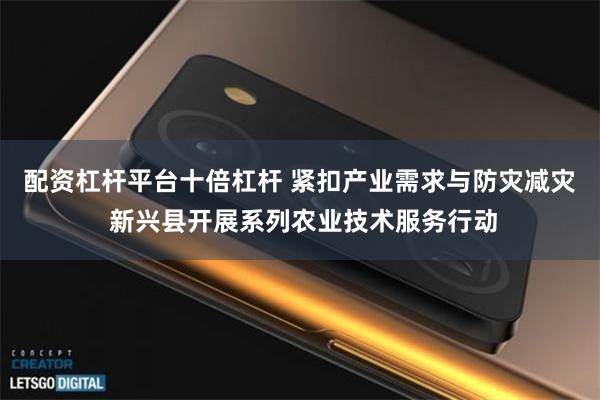 配资杠杆平台十倍杠杆 紧扣产业需求与防灾减灾 新兴县开展系列农业技术服务行动