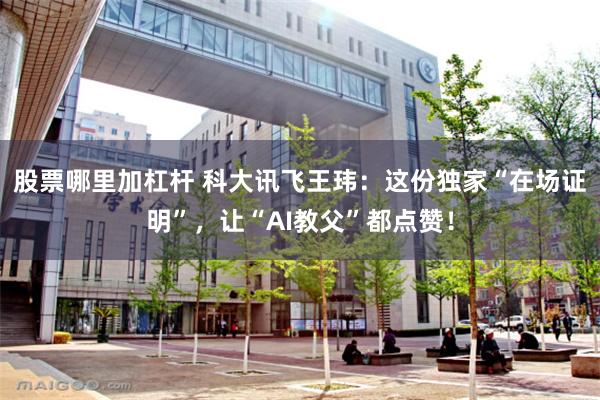 股票哪里加杠杆 科大讯飞王玮：这份独家“在场证明”，让“AI教父”都点赞！