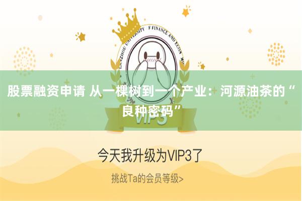 股票融资申请 从一棵树到一个产业：河源油茶的“良种密码”