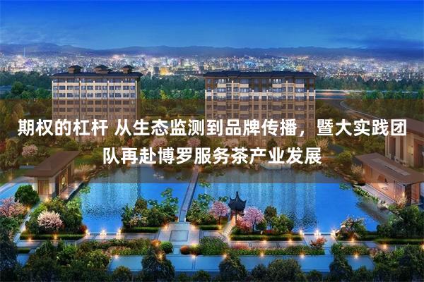 期权的杠杆 从生态监测到品牌传播，暨大实践团队再赴博罗服务茶产业发展