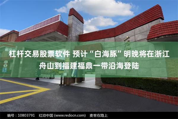 杠杆交易股票软件 预计“白海豚”明晚将在浙江舟山到福建福鼎一带沿海登陆