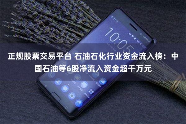 正规股票交易平台 石油石化行业资金流入榜：中国石油等6股净流入资金超千万元