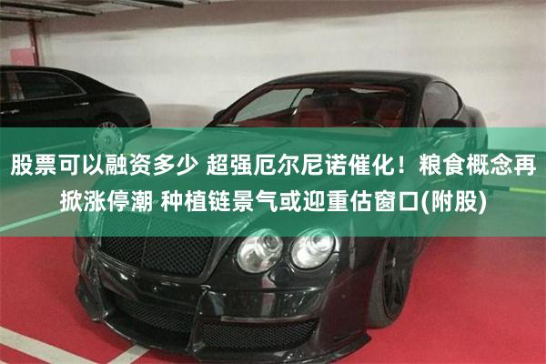 股票可以融资多少 超强厄尔尼诺催化！粮食概念再掀涨停潮 种植链景气或迎重估窗口(附股)