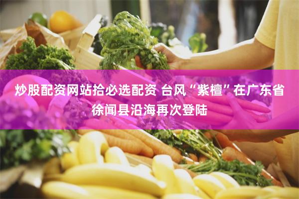 炒股配资网站拾必选配资 台风“紫檀”在广东省徐闻县沿海再次登陆