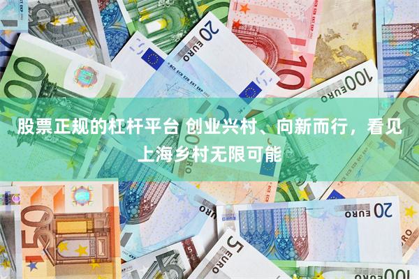 股票正规的杠杆平台 创业兴村、向新而行，看见上海乡村无限可能