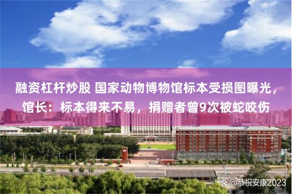 融资杠杆炒股 国家动物博物馆标本受损图曝光，馆长：标本得来不易，捐赠者曾9次被蛇咬伤