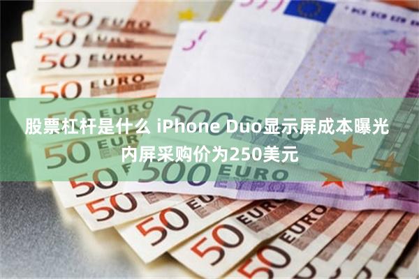 股票杠杆是什么 iPhone Duo显示屏成本曝光 内屏采购价为250美元