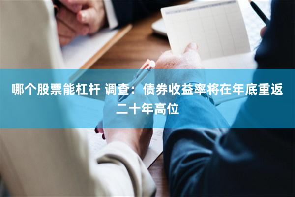 哪个股票能杠杆 调查：债券收益率将在年底重返二十年高位
