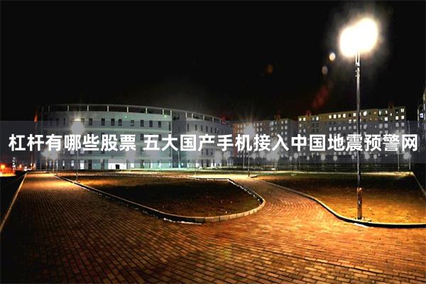 杠杆有哪些股票 五大国产手机接入中国地震预警网