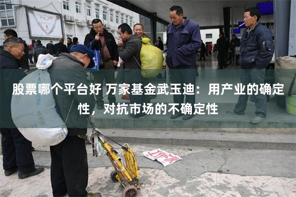 股票哪个平台好 万家基金武玉迪：用产业的确定性，对抗市场的不确定性