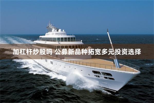 加杠杆炒股吗 公募新品种拓宽多元投资选择