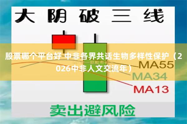 股票哪个平台好 中非各界共话生物多样性保护（2026中非人文交流年）