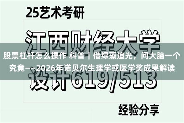 股票杠杆怎么操作 科普｜借绿藻追光，问大脑一个究竟——2026年诺贝尔生理学或医学奖成果解读