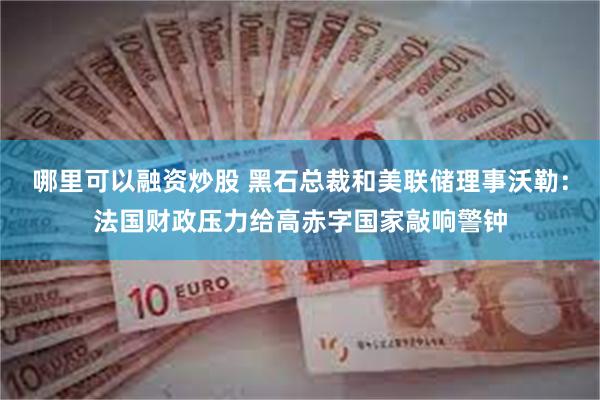 哪里可以融资炒股 黑石总裁和美联储理事沃勒：法国财政压力给高赤字国家敲响警钟