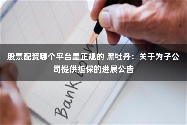 股票配资哪个平台是正规的 黑牡丹：关于为子公司提供担保的进展公告