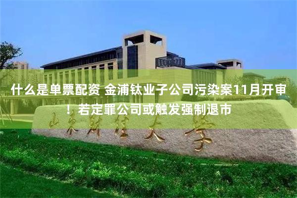 什么是单票配资 金浦钛业子公司污染案11月开审！若定罪公司或触发强制退市