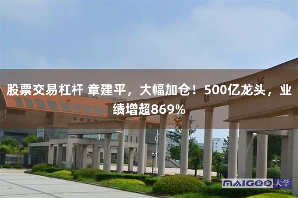 股票交易杠杆 章建平，大幅加仓！500亿龙头，业绩增超869%
