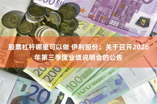 股票杠杆哪里可以做 伊利股份：关于召开2026年第三季度业绩说明会的公告
