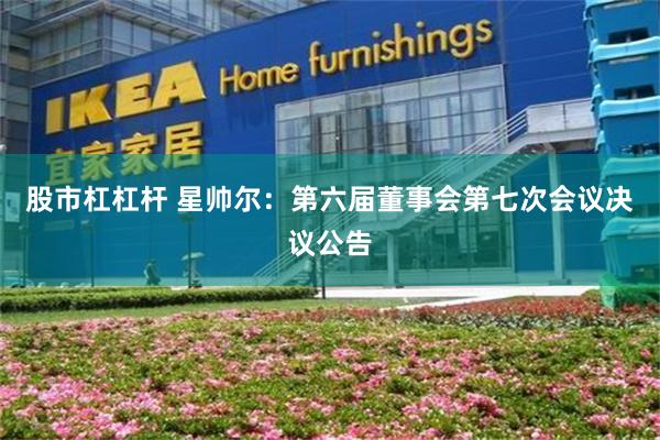 股市杠杠杆 星帅尔：第六届董事会第七次会议决议公告