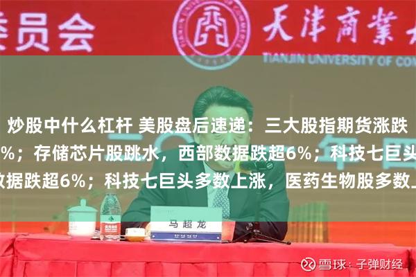 炒股中什么杠杆 美股盘后速递：三大股指期货涨跌不一，纳指期货跌0.28%；存储芯片股跳水，西部数据跌超6%；科技七巨头多数上涨，医药生物股多数上涨
