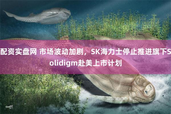 配资实盘网 市场波动加剧，SK海力士停止推进旗下Solidigm赴美上市计划