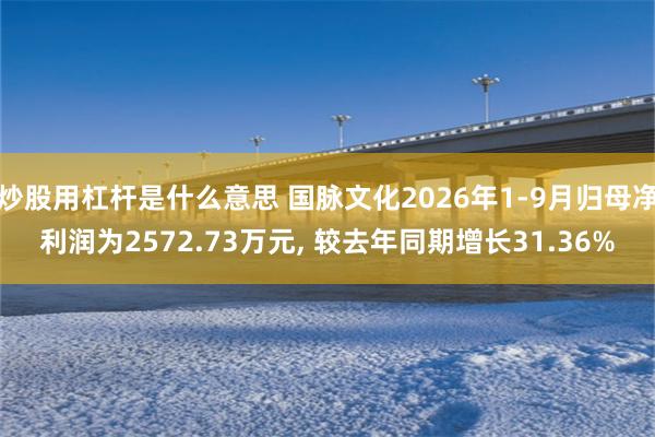 炒股用杠杆是什么意思 国脉文化2026年1-9月归母净利润为2572.73万元, 较去年同期增长31.36%